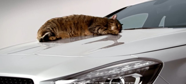 Video: Warum die Katze auf dem Mercedes CLA nicht schlafen kann: Witziger TV-Spot über den Mercedes-Benz CLA