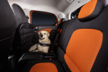 smart for dogs: Tag des Hundes am 5. Juni: Auf den Hund gekommen: smart bitte Bello zum Boarding